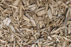 biomass boilers Shell